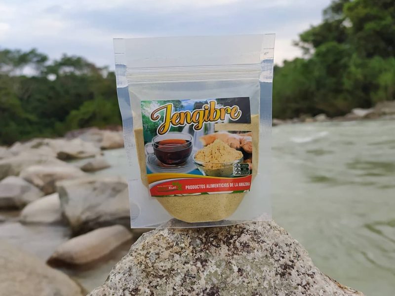 JENGIBRE EN POLVO